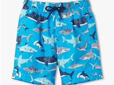 Hatley kids Zwemshort haai blauw Kopen