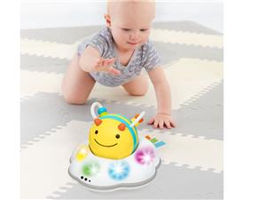 Skip hop Explore & More Crawl Toy